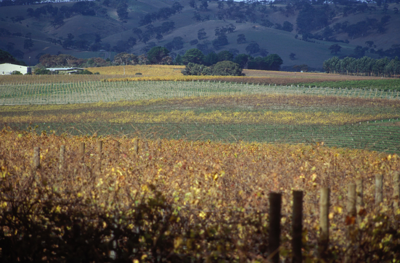 Barossa-Valley-007