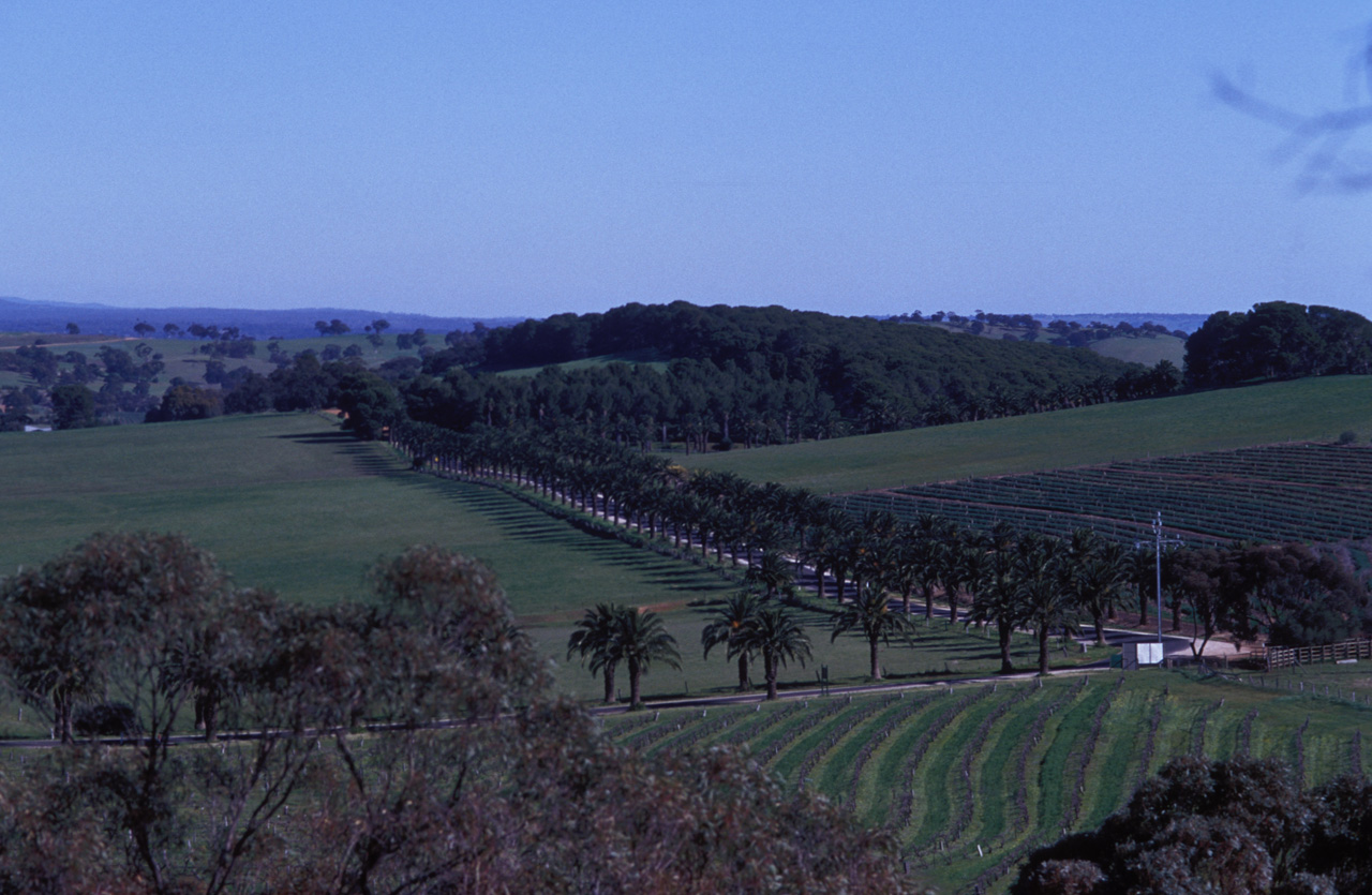 McLaren-vale-002