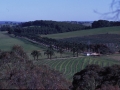 McLaren-vale-001