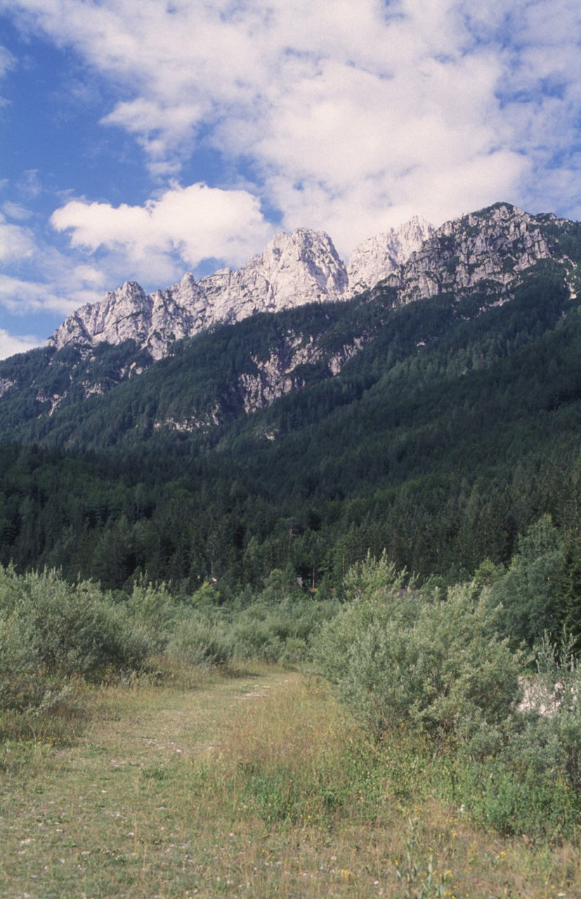 Kranjska-Gora-013