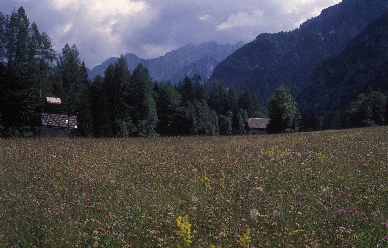 Kranjska-Gora-016