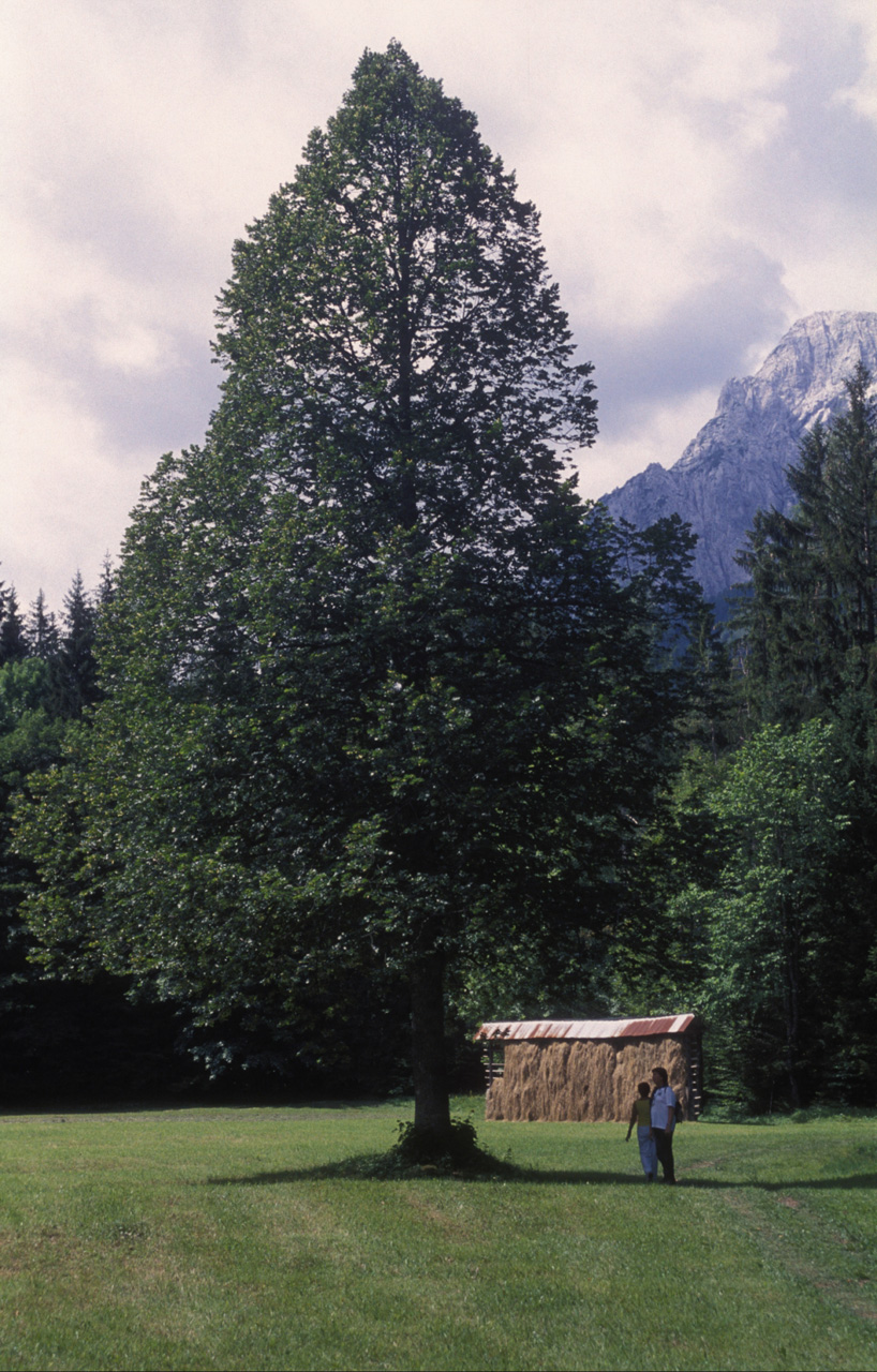 Kranjska-Gora-018